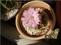 696db7d0-Picture 3082.jpg